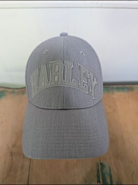 Medium Harley-Davidson Gray Embroidered Logo Cap
